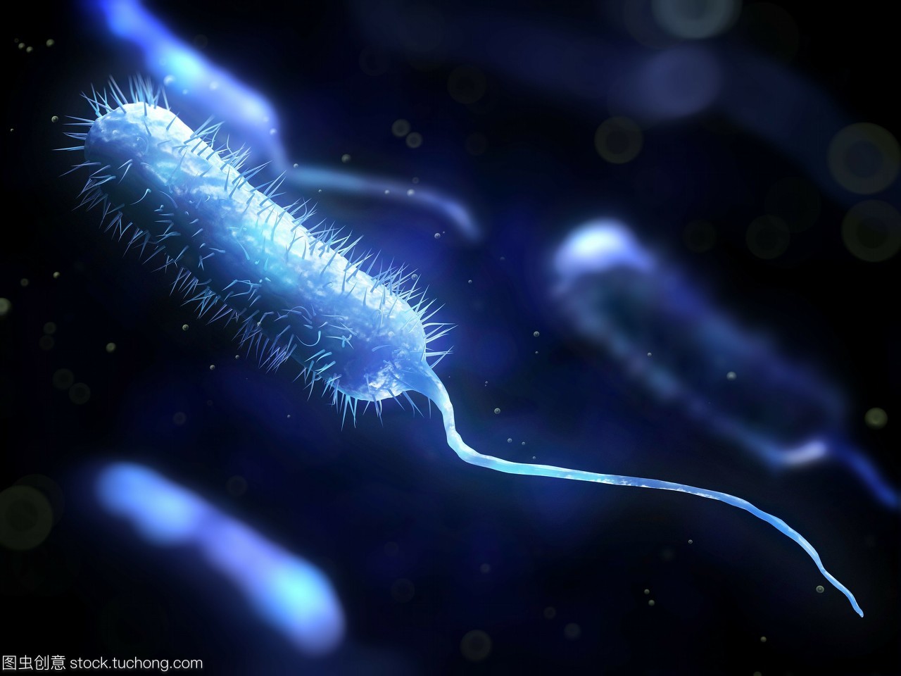 危險,粘貼,微生物,生物學(xué),概念,細(xì)菌學(xué),風(fēng)險,棍,healthcare,artwork,手機(jī),illustration,科技醫(yī)療,microbiology,棒,rod shape,infection,桿,細(xì)菌性的,植物學(xué),病菌,rod shaped,活力,dangerous,活躍,細(xì)菌,mobile,木棒,醫(yī)療保健,疾病,rod,生長,conceptual,尾巴,bacilli,pathogen,藝術(shù)品,微生物學(xué),bacillus,concept,bacteriology,microbe,active,