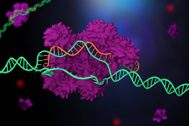 生物技術(shù)育種的個(gè)人展示頁