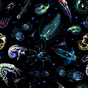 浮游生物的奇妙世界 從浮游植物到浮游動(dòng)物的卡通矢量插圖